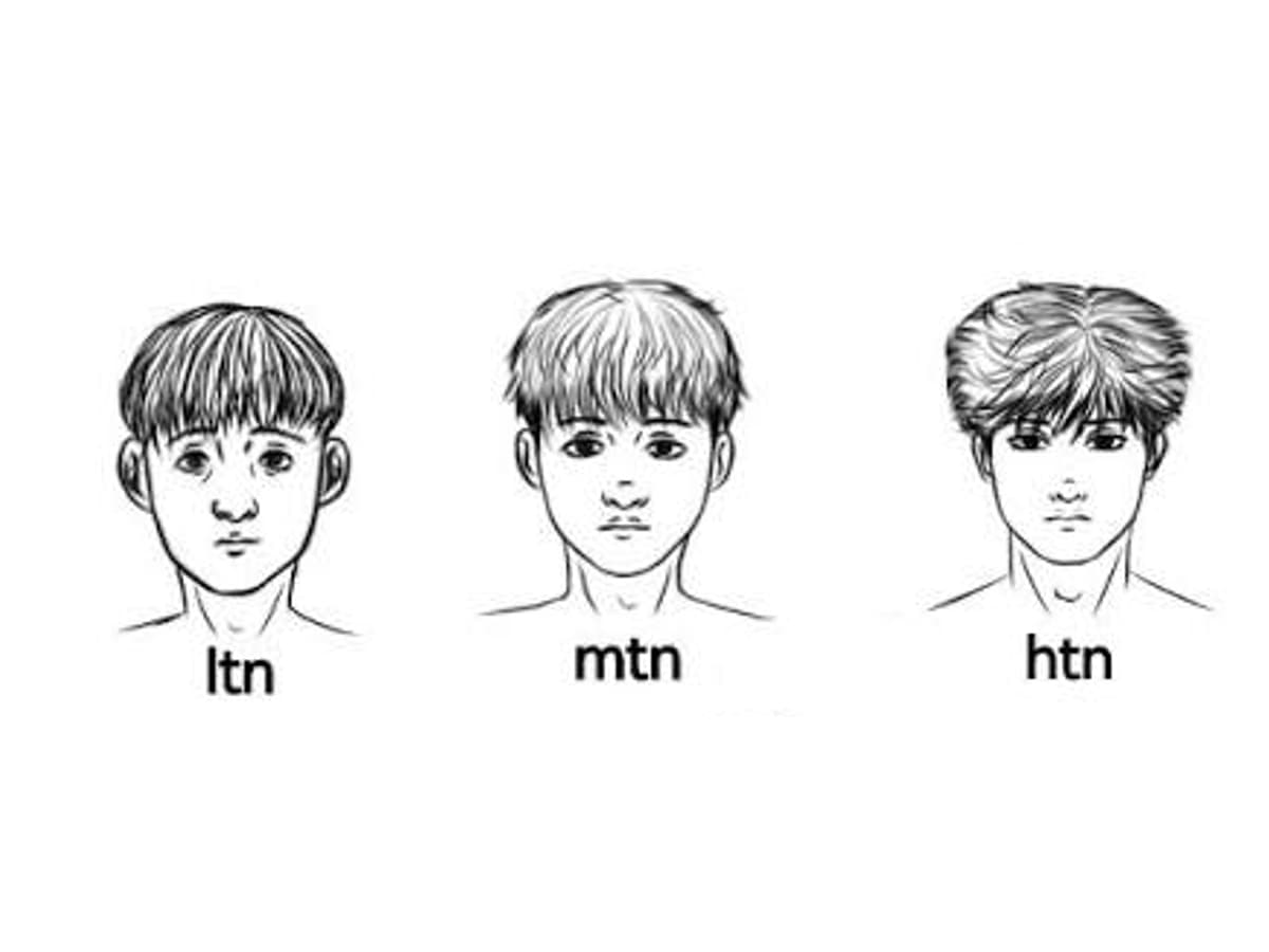 Сравнение мужских тиров LTN, MTN и HTN